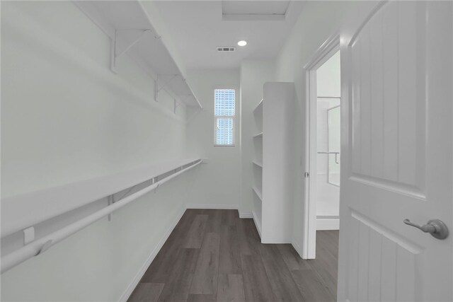 spacious closet with hardwood / wood-style floors