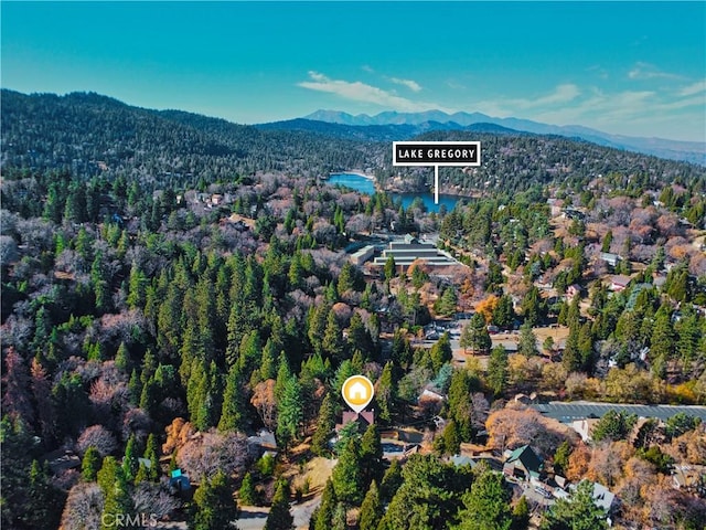 aerial view featuring a mountain view