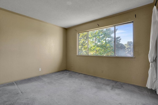 carpeted empty room with a textured ceiling and crown molding