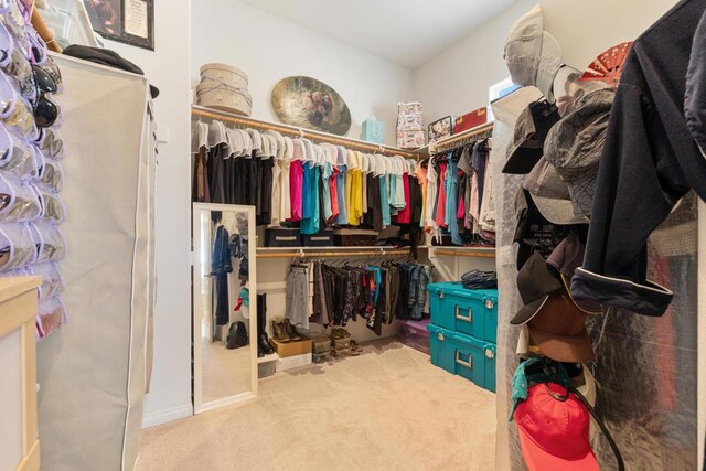 walk in closet with carpet flooring