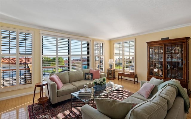 living room featuring crown molding and wood-type flooring