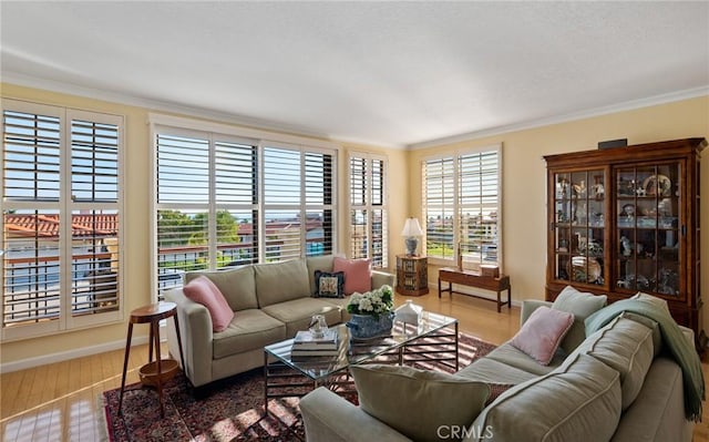 living room with ornamental molding and baseboards