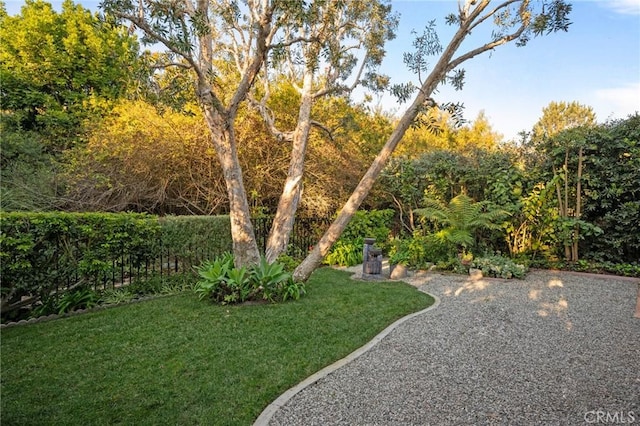 view of yard featuring fence