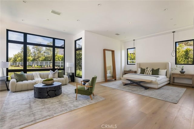 living room featuring light hardwood / wood-style floors