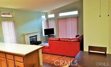 living room featuring a fireplace, light hardwood / wood-style floors, and vaulted ceiling