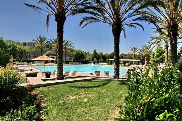 view of swimming pool featuring a lawn