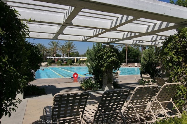 view of swimming pool featuring a pergola and a patio