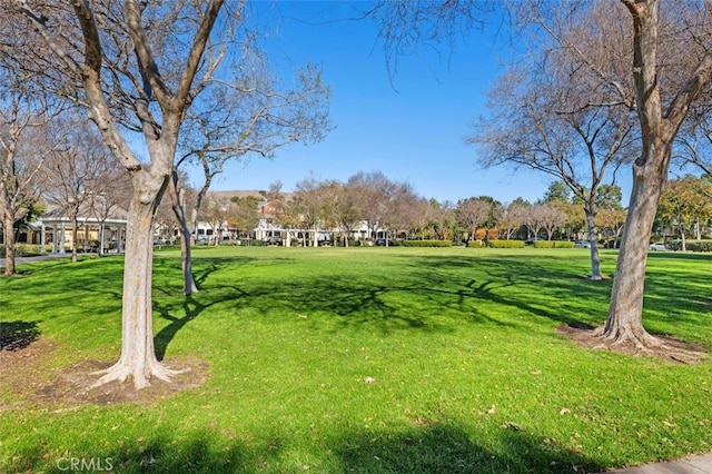 view of community with a yard