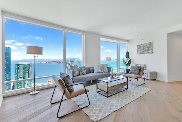 living room featuring a water view, expansive windows, and light hardwood / wood-style floors