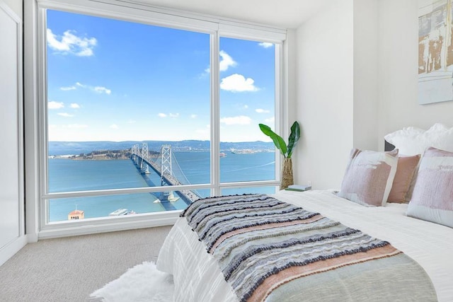 carpeted bedroom featuring a water view