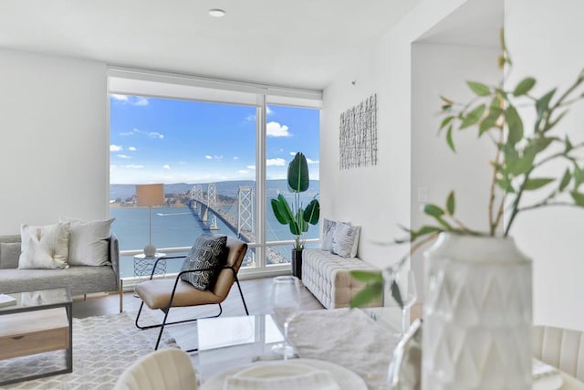 living room featuring floor to ceiling windows, a wealth of natural light, a water view, and light wood-type flooring