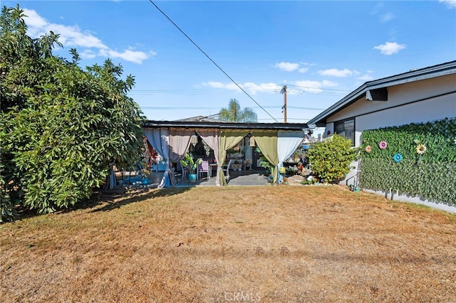 view of yard featuring a patio area