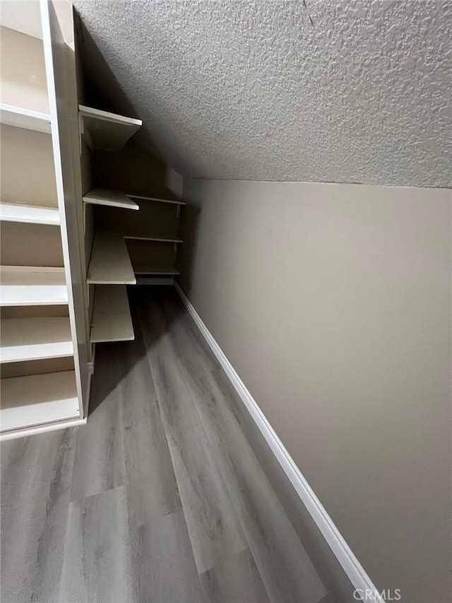 spacious closet featuring wood-type flooring