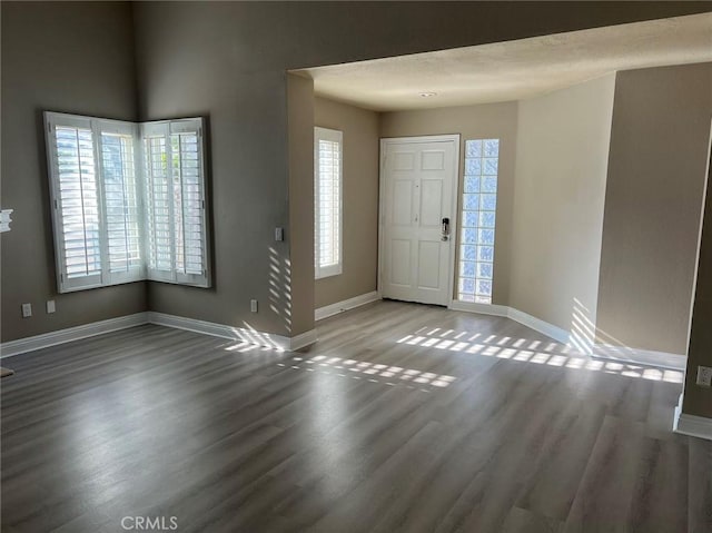 entrance foyer featuring plenty of natural light and hardwood / wood-style floors