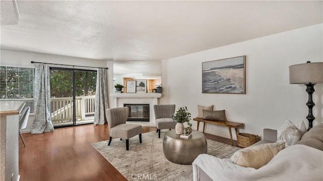 living room featuring a fireplace and hardwood / wood-style flooring