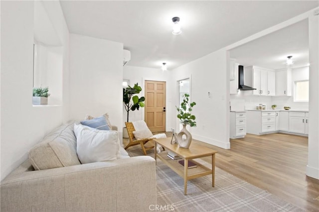 living room featuring light hardwood / wood-style floors