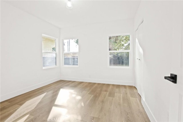 additional living space with light hardwood / wood-style floors