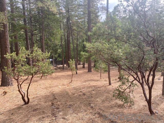 0 Big Pne, Idyllwild CA, 92549 land for sale