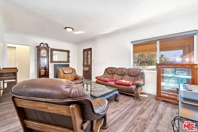 living room featuring light hardwood / wood-style flooring and a textured ceiling