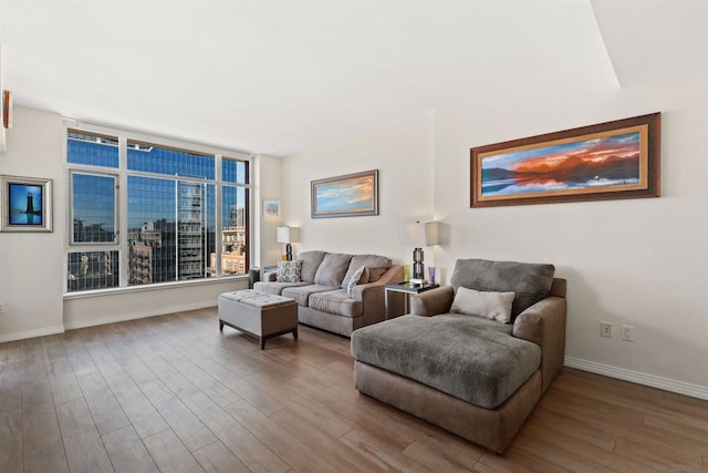 living room featuring hardwood / wood-style flooring