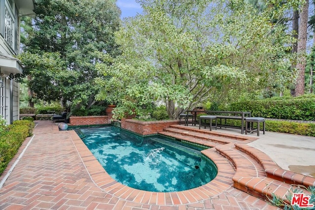 view of pool with a patio