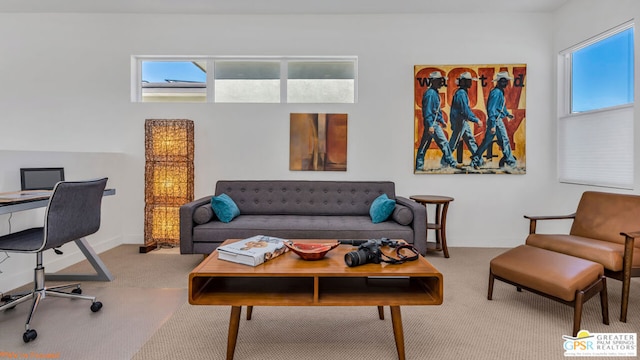 view of carpeted living room