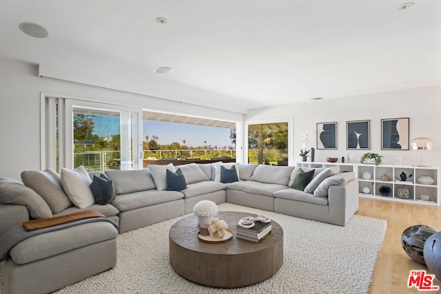 living room featuring light hardwood / wood-style floors and a wealth of natural light