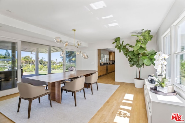 dining room with a wealth of natural light and light hardwood / wood-style floors