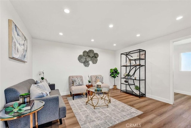 living room with hardwood / wood-style floors