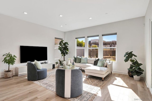 living room with light hardwood / wood-style flooring