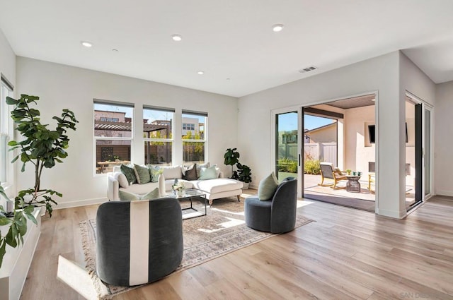 living room with light hardwood / wood-style floors and a healthy amount of sunlight