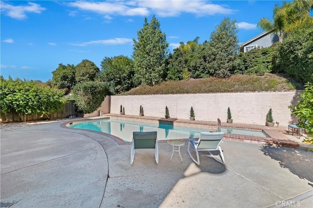 view of swimming pool featuring a patio and a hot tub