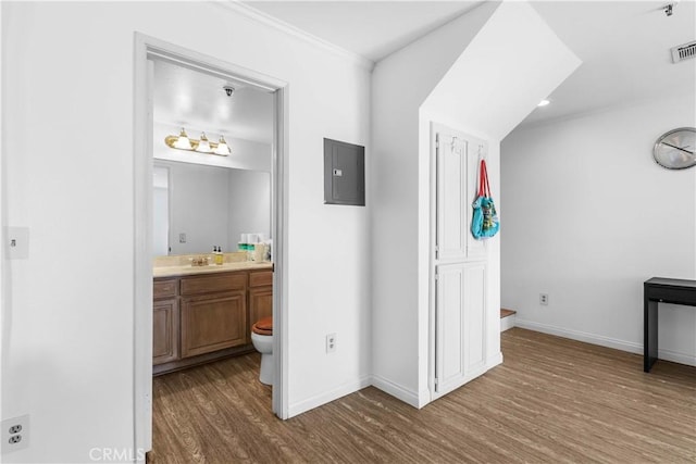 hallway featuring hardwood / wood-style floors, sink, crown molding, and electric panel