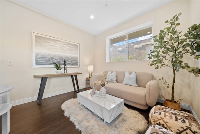 living room with dark hardwood / wood-style floors