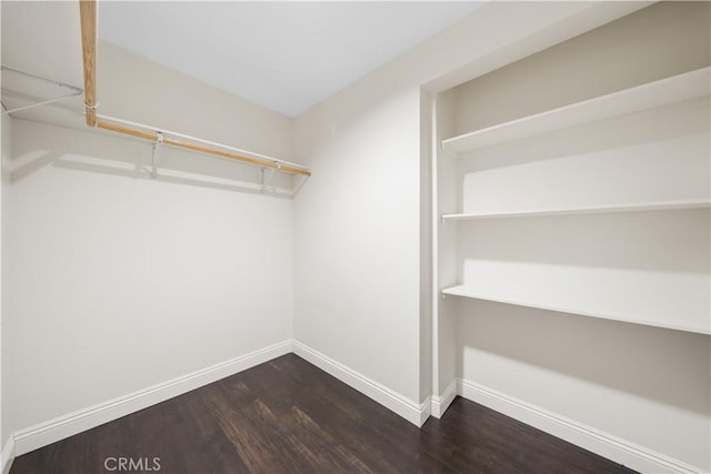 walk in closet featuring dark wood-type flooring