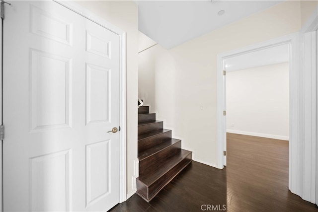 stairway with hardwood / wood-style floors