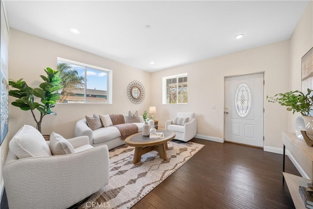 living room featuring dark hardwood / wood-style flooring