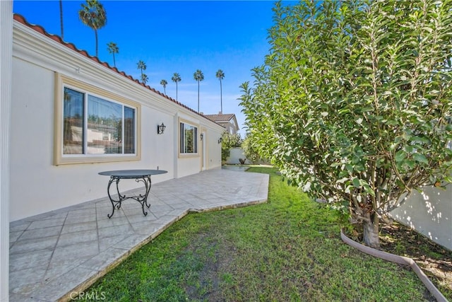 view of yard featuring a patio