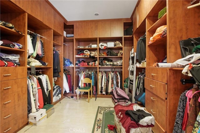 view of walk in closet