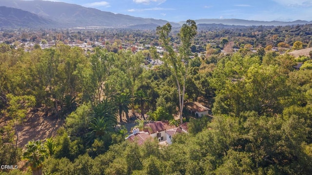 bird's eye view featuring a mountain view