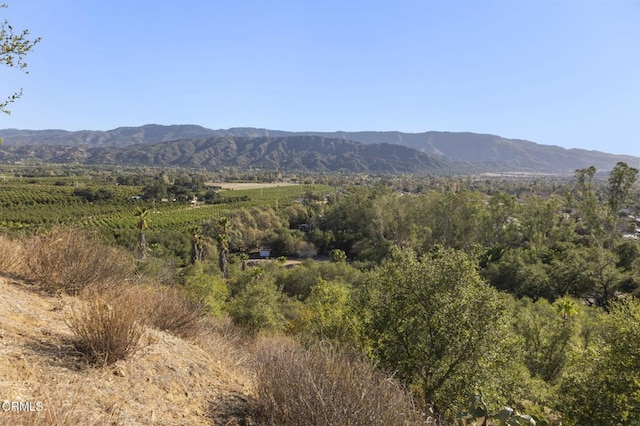 view of mountain feature