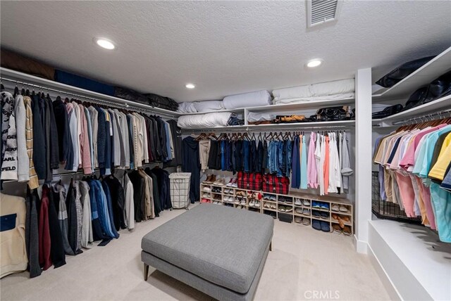 spacious closet with carpet flooring