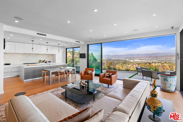 living room with a mountain view, light hardwood / wood-style flooring, and sink