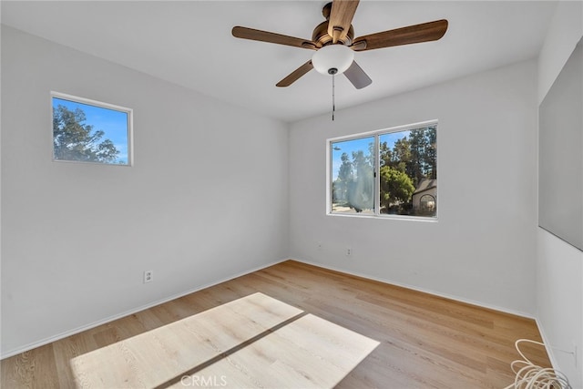 spare room with ceiling fan and light hardwood / wood-style floors