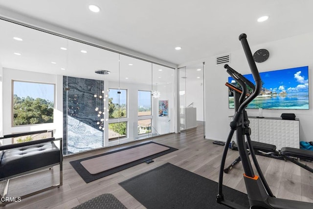 exercise room featuring wood-type flooring