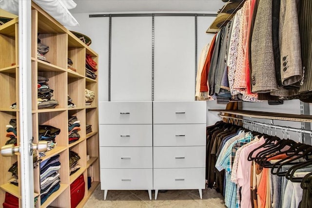 view of spacious closet