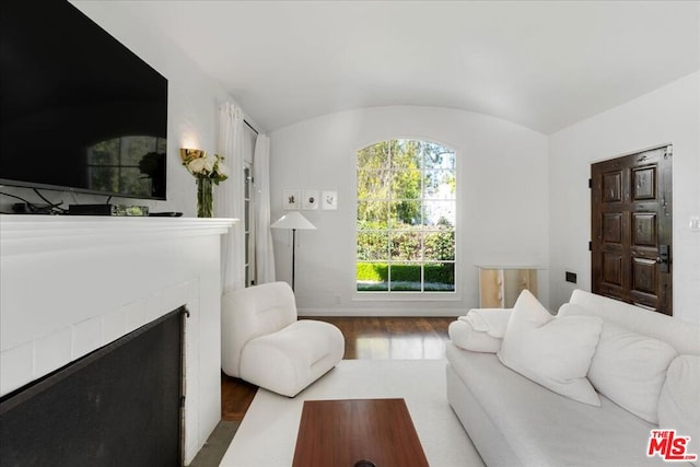 living room featuring hardwood / wood-style flooring and lofted ceiling