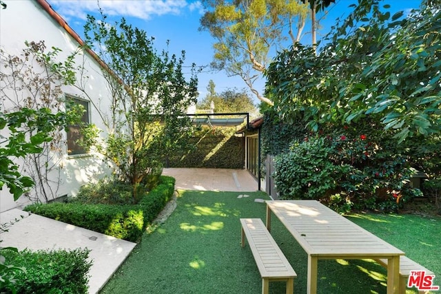 view of yard with a patio area