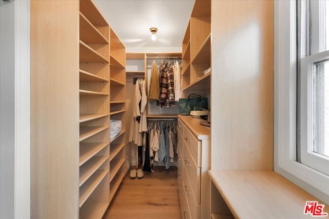 spacious closet with light wood-type flooring