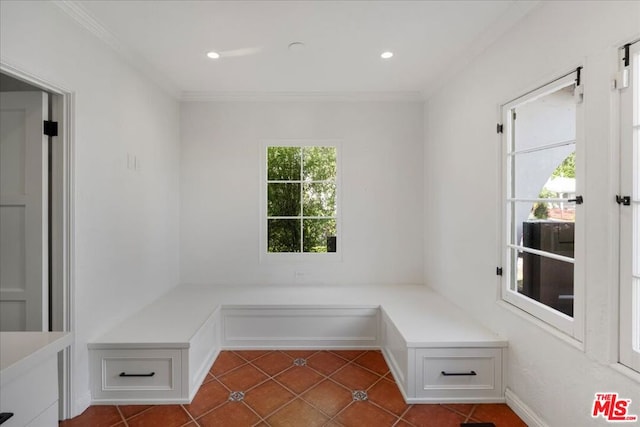 mudroom with ornamental molding, dark tile patterned flooring, and a healthy amount of sunlight